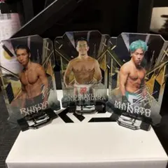 RIZIN 15th ANNIVERSARY アクリルスタンド 4種セット - メルカリ