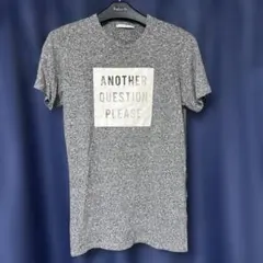 ZARA グレー プリント Tシャツ