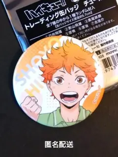 ハイキュー!!　缶バッジ　チューガク　中学　日向翔陽