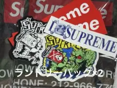 【ステッカー付】SUPREME 25AW ノベルティ ランドリーバッグ×2