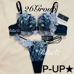 ニューヨーク☆サルート☆新品☆ブラ☆ソング☆MかL☆93☆VI - メルカリ