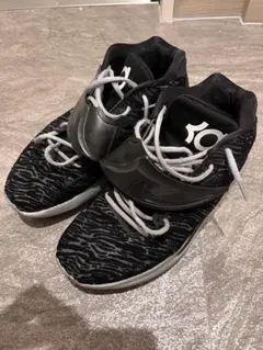 Item thumbnail for item d7f2c5a1-a877-427c-b50d-5646bb8818f6