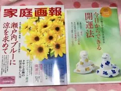 【美品】家庭画報　7月号