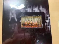 セクゾ ポスター special portrait book