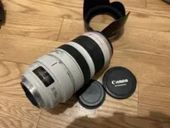 2026年最新】Canon EF35-350mm F3.5-5.6Lの人気アイテム - メルカリ