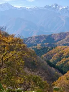 Item thumbnail for item d50f2e68-e5aa-4bda-bde6-112fc433d5c4