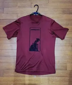 patagonia キャプリーン1 Tシャツ 日本 メンズM
