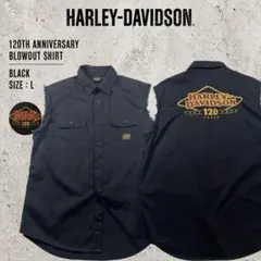 HARLEY-DAVIDSON ハーレーダビッドソン 120周年 ブローアウトのサムネイル