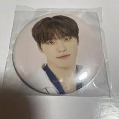 セブンティーン24H 缶バッジ　ディノ