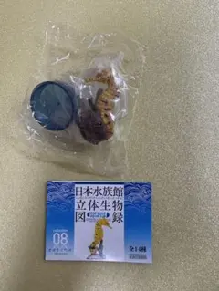 2025年最新】日本水族館立体生物図録の人気アイテム - メルカリ