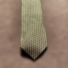 Salvatore Ferragamo ネクタイ