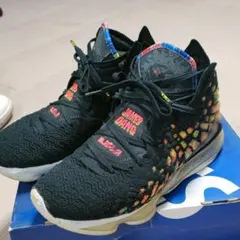 NIKE LEBRON 17 　２８cm