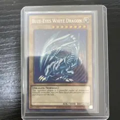 2025年最新】青眼 ddsの人気アイテム - メルカリ