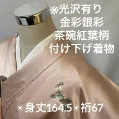 光沢有り 付け下げ 金彩銀彩 正絹 広衿 袷 紋無しYK-924