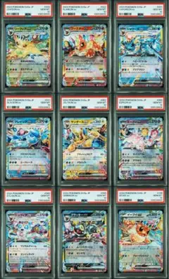 ブイズPSA10セット ブイズPSA10セット