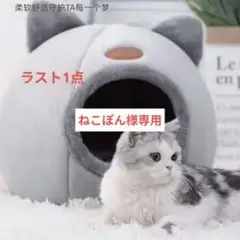 Item thumbnail for item 2e815c02-54de-4379-857b-418498e7f9a1