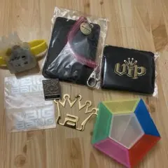 2NE1 ファンクラブ特典 （キーホルダー・チャームセット・ポーチ・会報