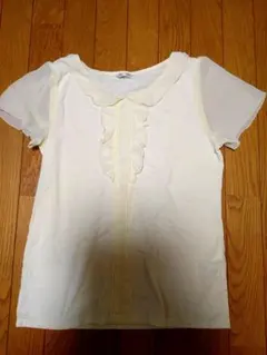 袖シフォン素材 半袖トップス