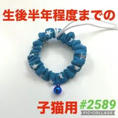 #2589 子猫用シュシュ首輪