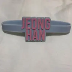 SEVENTEEN ジョンハン　ペンライト　アクセサリー SEVENTEEN ペンライトアクセサリー ペンラアクセサリー 公式