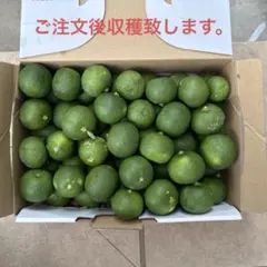 ハウス小ぶりスダチ 約1キロ お試しスダチ - メルカリ