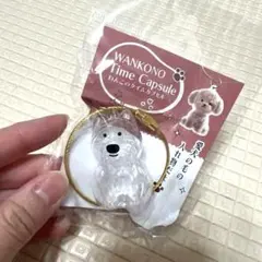 わんこのタイムカプセル 愛犬の毛 ペット カプセルトイ