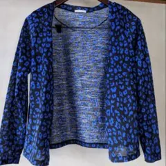 カーディガン　ZARAやディーホリック、しまむら、AZUL、WEGO、コカ