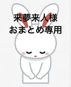 ダイヤモンドアート　キット　スヌーピー　風景　花　ビーズアート　ペインティング