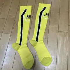 ラグビーソックス