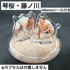 【９月新作】 藤ノ川　琴桜　大相撲カプセルスタンド　大相撲ガチャ Abema
