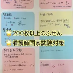 看護師国家試験対策　ふせんノート