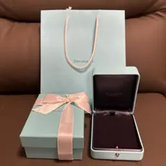 極美品 現行品 ティファニー 限定品 リングケース 空箱 T&Co. ロゴ
