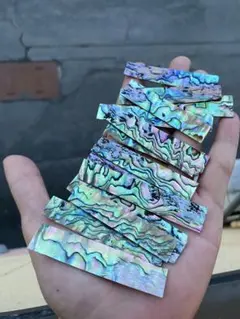 アワビ貝　ニュージーランドアワビ貝　10枚 螺鈿細工　ハンドメイド　素材　新鮮