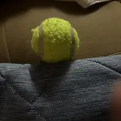 テニスボール 1球