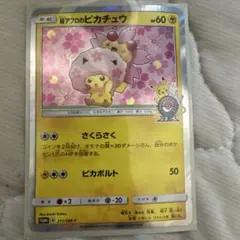 桜アフロのピカチュウ：ポケモンセンタートウキョーDX オープン記念 にほんばれ…のサムネイル