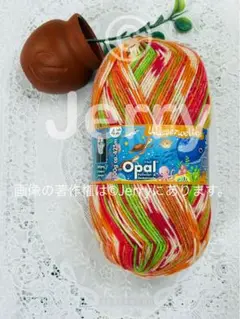 Opal毛糸: KFS [水の世界] クマノミ 1玉