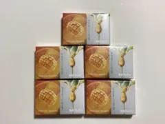 DR VAPE ドクターベイプ3 トロピカルマンゴーβ 5個セット