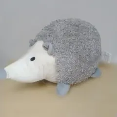 ニトリNITORI　ハリネズミ　Dハリーのサムネイル