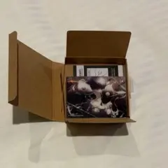 プロセカ ノーブルアート vol.68 朝比奈まふゆ B プロジェクトセカイ