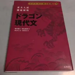東大入試徹底解明 ドラゴン現代文