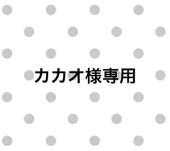 カカオ様専用ページ