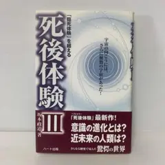 「臨死体験」を超える死後体験 3/坂本政道　　1-C-3179