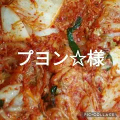 プヨン様専用です。