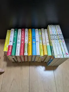 singha119様専用 富士山のみ