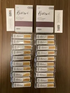 Item thumbnail for item 9501fc24-a1b0-46b0-93fb-df0ee0097381