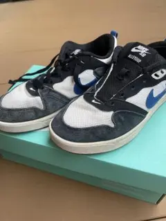 NIKE SB ALLEYOOP スニーカーのサムネイル