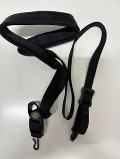 Item thumbnail for item 14f99340-e85a-444e-815f-2d2f7fd59492