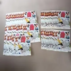 ディズニーリゾート 紙袋43枚セット