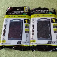 GEX ラクラクパワーフィルター用 スポンジカセットL 2個セット