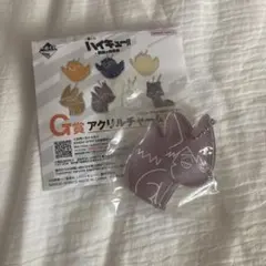 ハイキュー 一番くじ最強の挑戦者 治